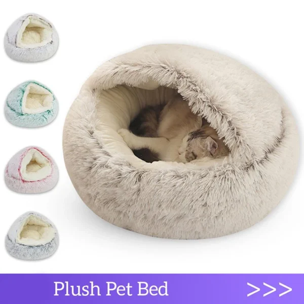 Bed with Cover Round 1
