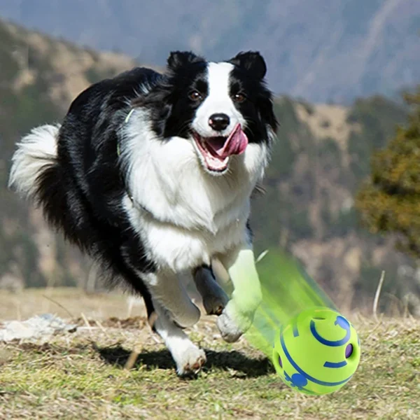 Dog Toy Wobble Wag Giggle Ball Getting Dog Attention Toy Fun Giggle Sounds When Rolled or Shaken Pets Know Best As Seen On TV 4