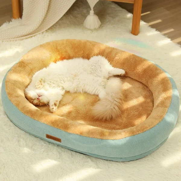 Cat and Dog Bed 2