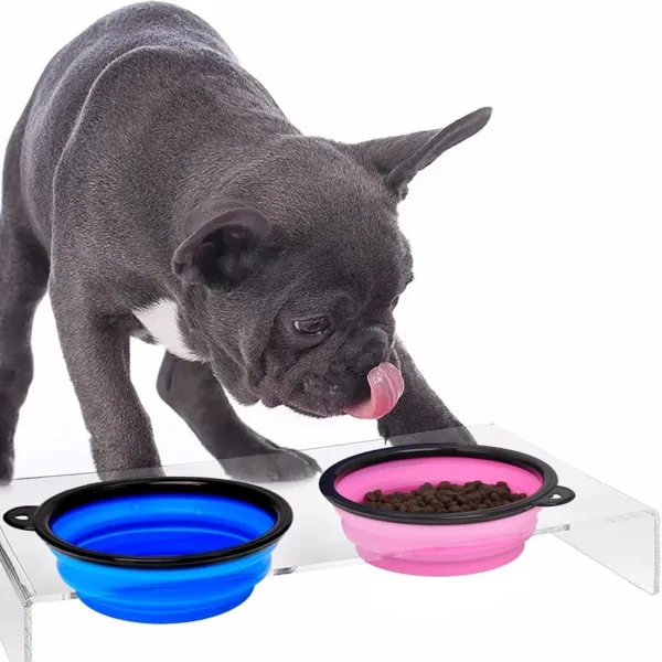 Folding, Portable, Silicone Dog Feeder Bowl 2