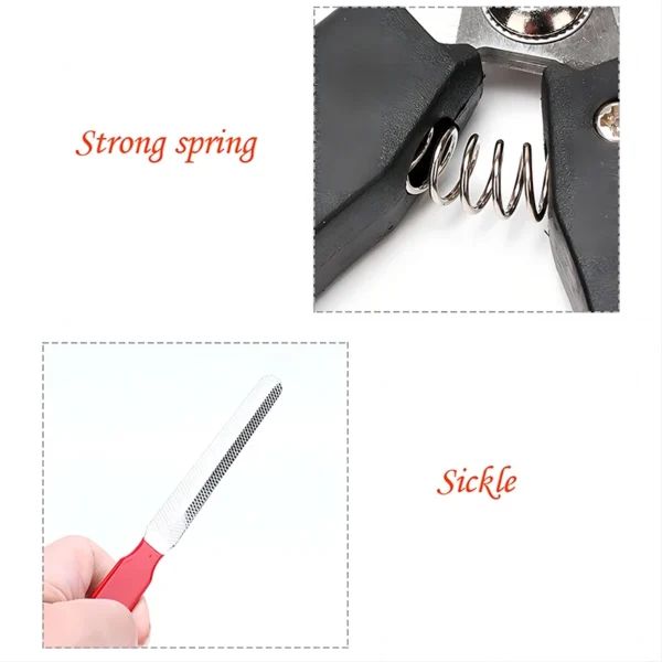 Pet Nail Clippers with Sickle Large Dog Nail Clippers Stainless Steel Grooming Scissors Nail Clippers Multifunctional Teddy Cat 3