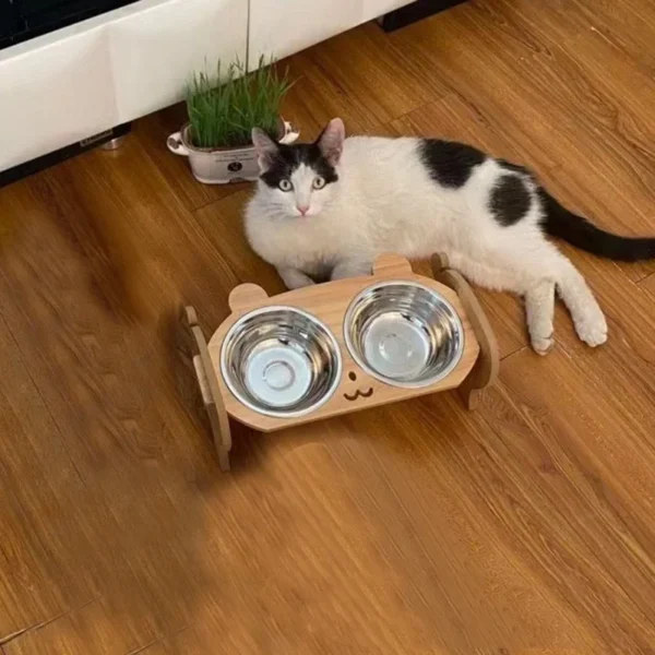 Double Food Bowl with Anti-Knockover Design 5