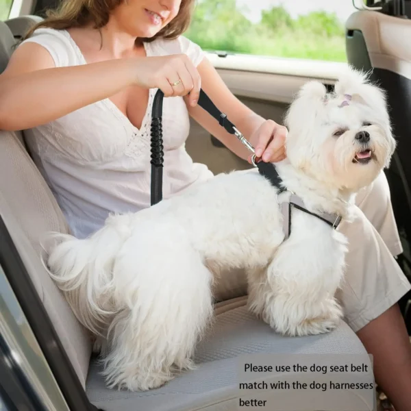 Adjustable And Heavy Duty Dog Car Seat Belt - Striped Nylon Large Dog Traction Rope for Car Rides 6