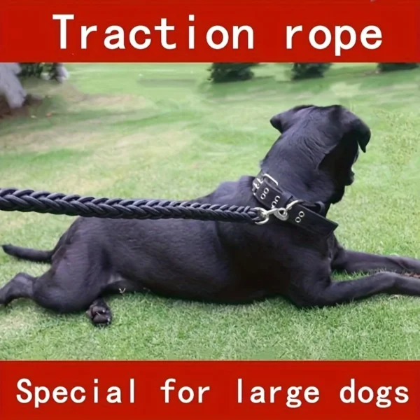 Dog leash for effective training and comfortable walking, strong and durable braid, suitable for large dogs, dog training leash 3