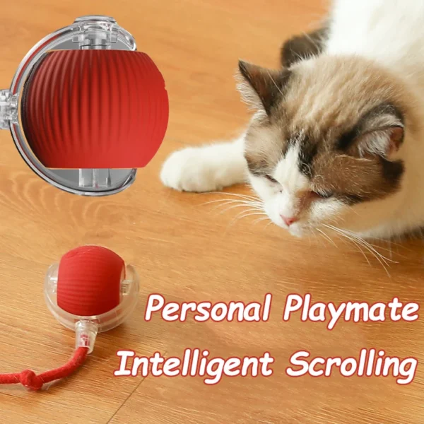 New Cat Interactive Ball Toy Automatic Rolling Ball Faux Tail Rechargeable Smart Pet Electric Toy Dog Cat Training Imitate Mouse 3