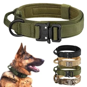 Pet Products Outdoor Tactical Dog Collar Metal Buckle Breathability Nylon Collar Medium and Large Dog Training Neck Collar Dog 1