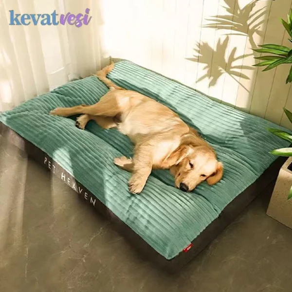 Soft, Dog Bed 1