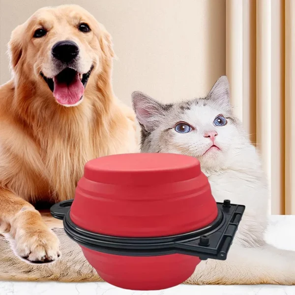 2-in-1 foldable dual bowl 2