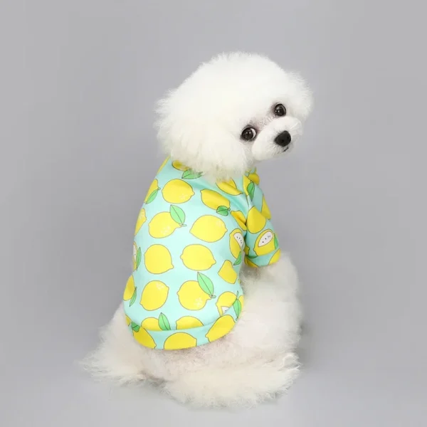 Chihuahua Dog Sweatshirt Puppy Cat Pullover Dogs Small Dog Hoodie Coat Winter Warm Pet Clothes for Bulldog 4