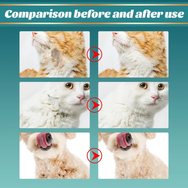 Pet Wash free Gloves Dog Cat Spa Bathing Odor Removing Cleaning Cleaning Care Dry Cleaning Gloves Dog Grooming Equipment 3