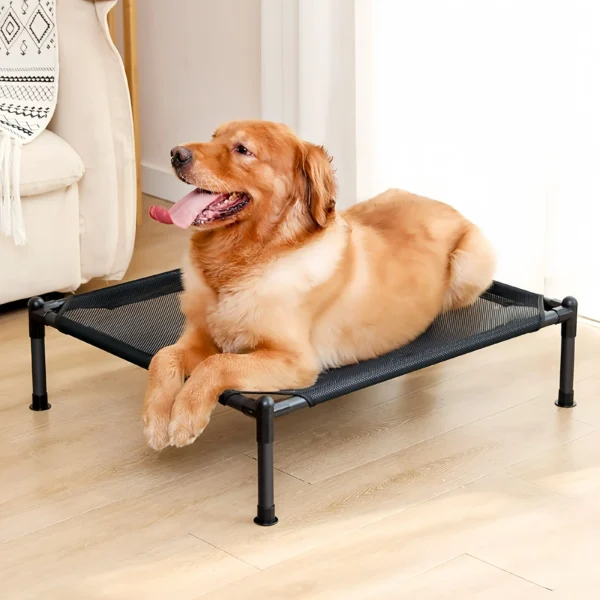 Elevated Bed, Dog and Cat 4