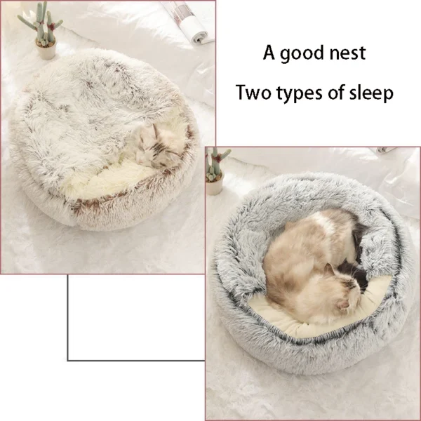 Bed with Cover Round 5