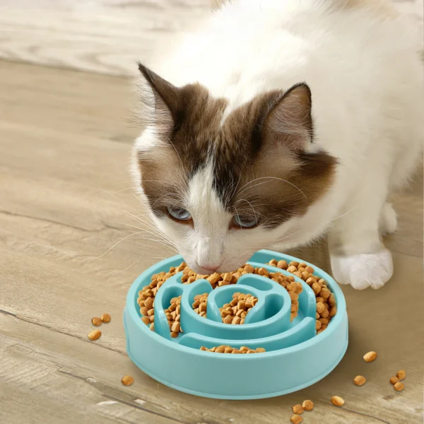Pet Dog Slow Feeder Bowl 6