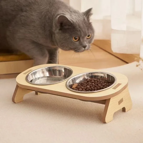 Double Food Bowl with Anti-Knockover Design 3