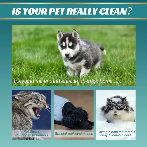 Pet Wash free Gloves Dog Cat Spa Bathing Odor Removing Cleaning Cleaning Care Dry Cleaning Gloves Dog Grooming Equipment 4