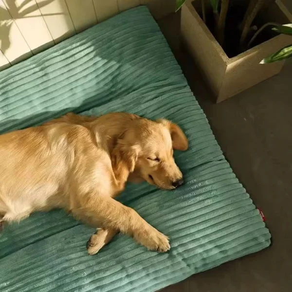 Soft, Dog Bed 3
