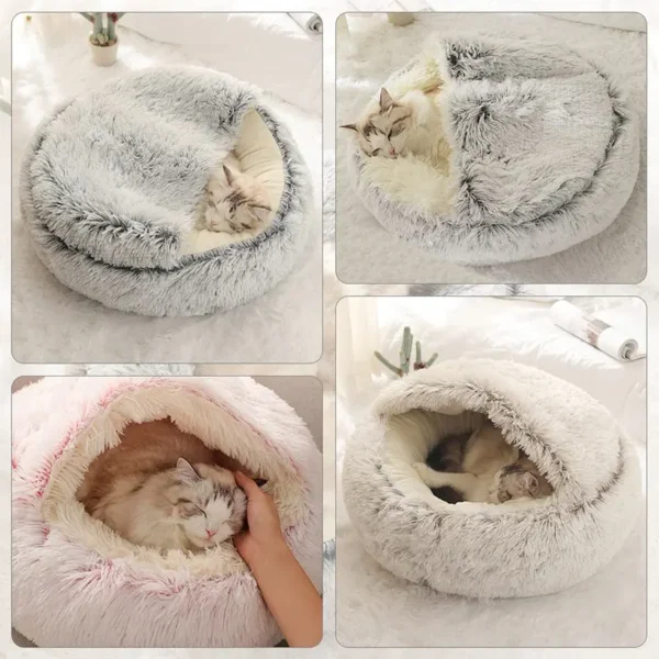 Bed with Cover Round 3