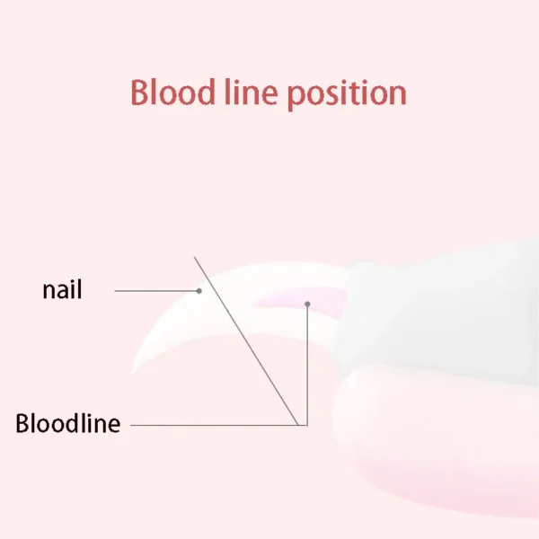 Pet Nail Clippers with Sickle Large Dog Nail Clippers Stainless Steel Grooming Scissors Nail Clippers Multifunctional Teddy Cat 5