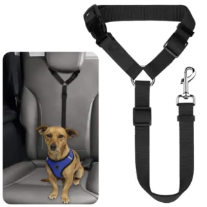 Solid Color Two-in-one Pet Car Seat Belt Nylon Lead Leash Backseat Safety Belt Adjustable Dogs Harness Collar Pet Accessories 1