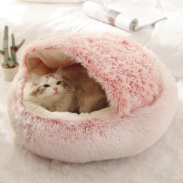 Bed with Cover Round 2