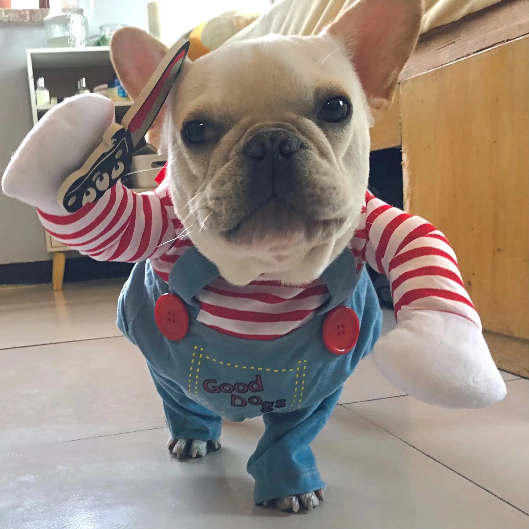 Halloween Funny Dog Clothes for Small Medium Dogs Cats Party Dressed Up Cosplay Costumes Bulldog French Chihuahua Pet Outfits 1
