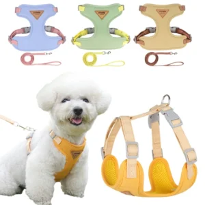 Puppy Harness Leash Set for Small Medium Dog Cat Vest Breathable Pet Chest Strap French Bulldog Chihuahua Poodle Pet Supplies 1