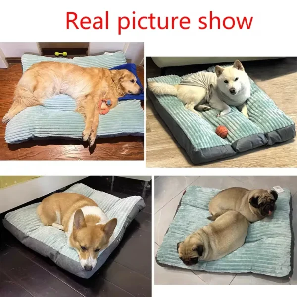 Soft, Dog Bed 2