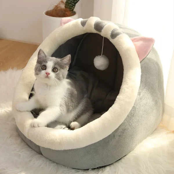 Pet Tent Cave 4