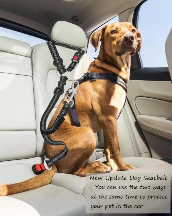 Adjustable And Heavy Duty Dog Car Seat Belt - Striped Nylon Large Dog Traction Rope for Car Rides 1
