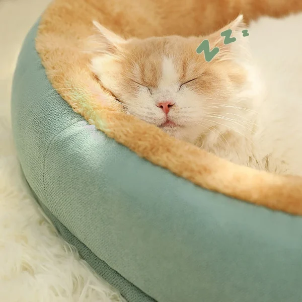 Cat and Dog Bed 3