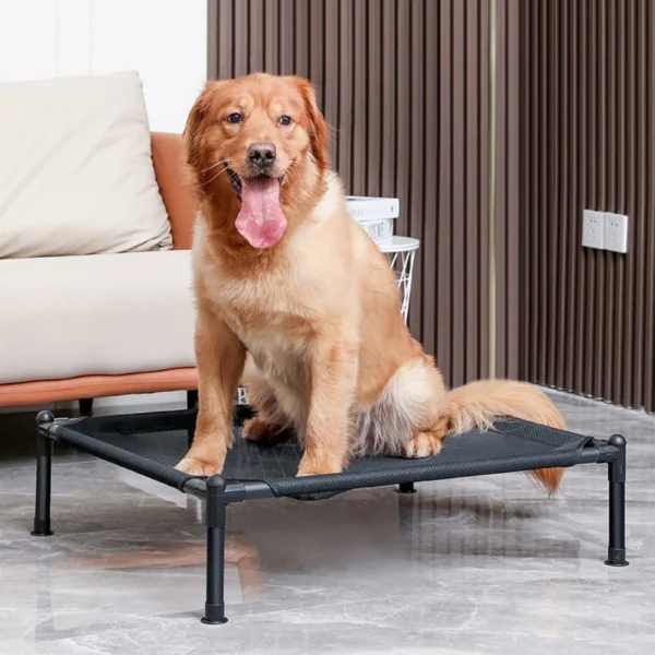 Elevated Bed, Dog and Cat 1