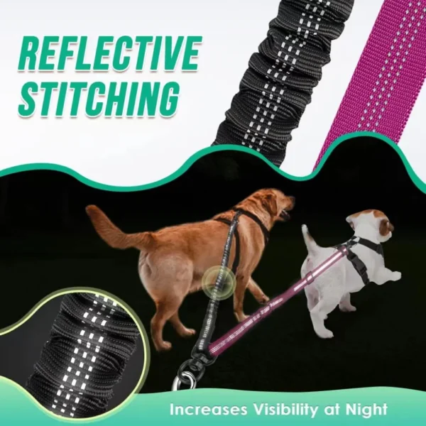 16ft Long Dual Dog Leash Attachment - Double Leashes for Training Small to Large Dogs - Adjustable Strap, Shock Absorbing Bungee 4